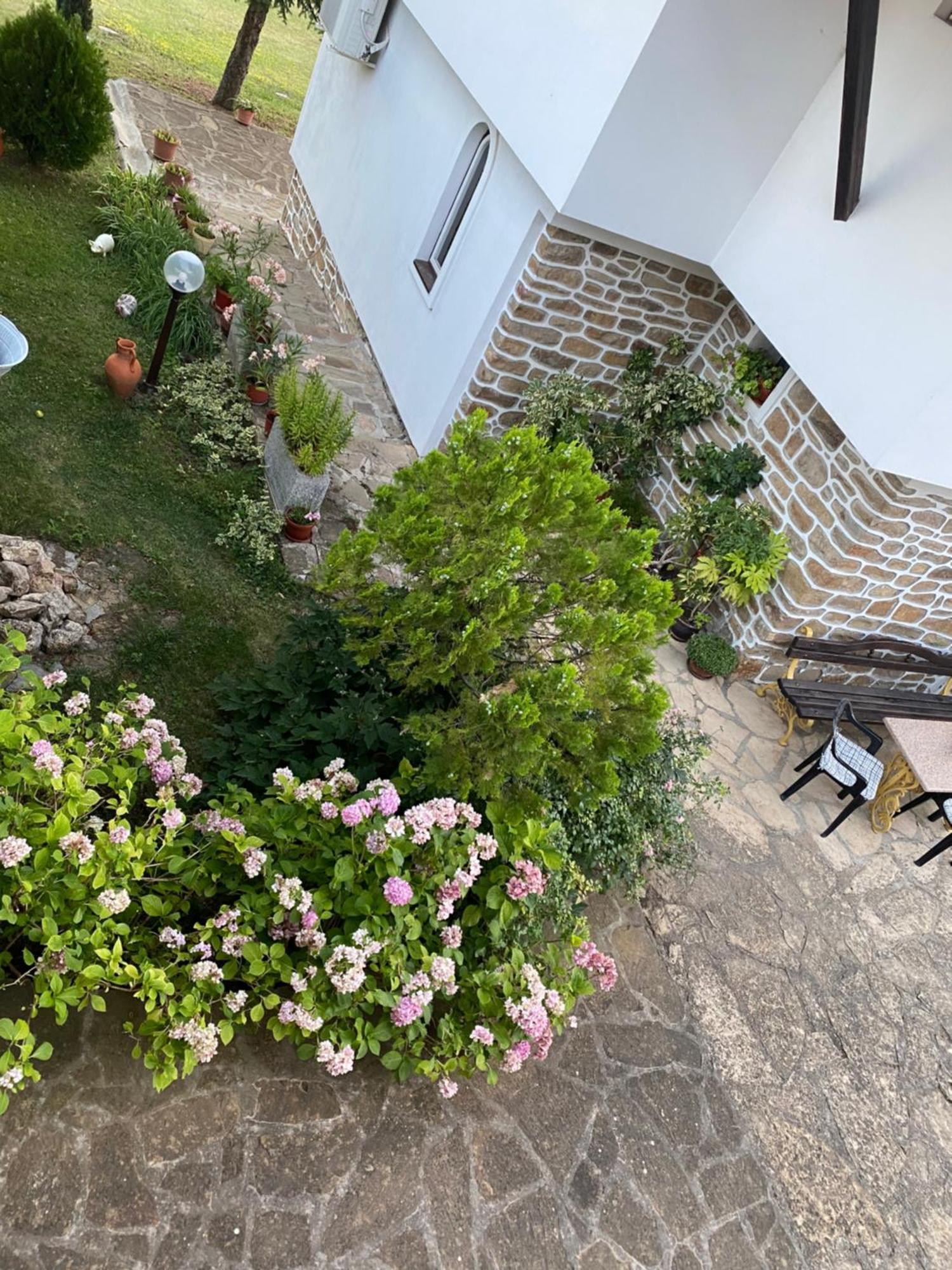 Guest House Debar Арбанаси Екстер'єр фото